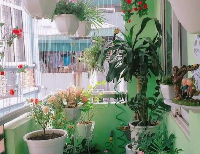 Lưới an toàn ban công Đồng Nai