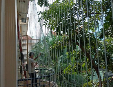 Lưới bảo hộ trường mầm non quận 5