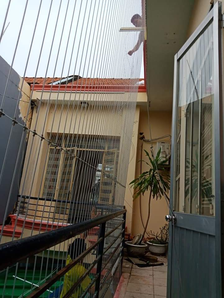 lưới an toàn đà lạt