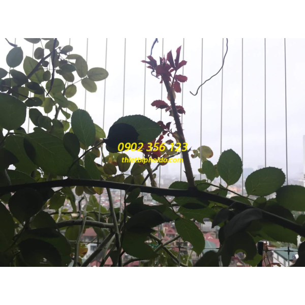 Lưới an toàn ban công Đồng Nai