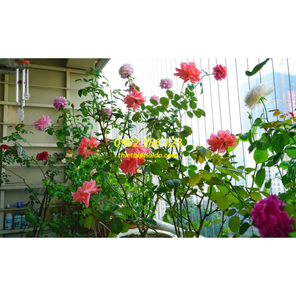 Cách lắp đặt lưới an toàn ban công